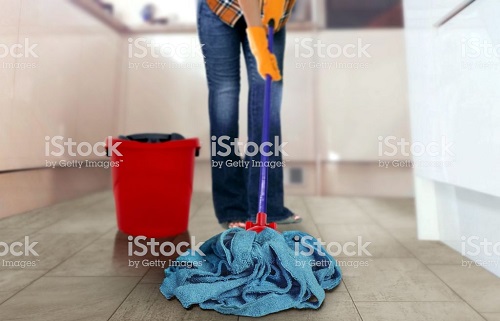 domestic workers