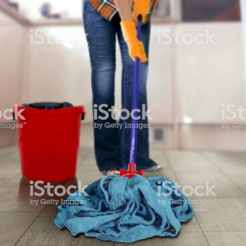 domestic workers